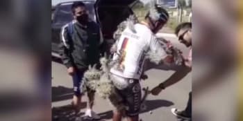 Cyklista v Argentině spadl do obrovského kaktusu. Trny mu vytrhávali fanoušci i lékaři