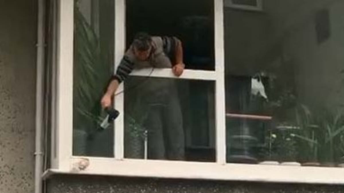 Muž v Istanbulu zachránil holuba pomocí fénu.