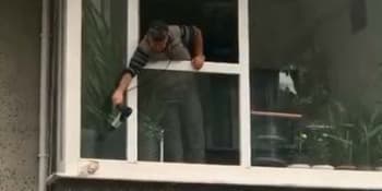 Muž v Istanbulu zachránil holubovi život fénem. Zahřál ho, když přimrzl k parapetu