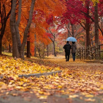 Podzimní procházka