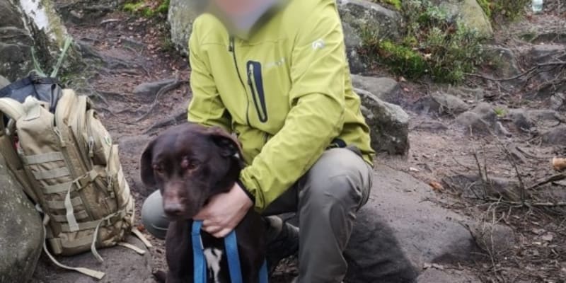 Záchrana psa na Broumovsku měla šťastný konec.