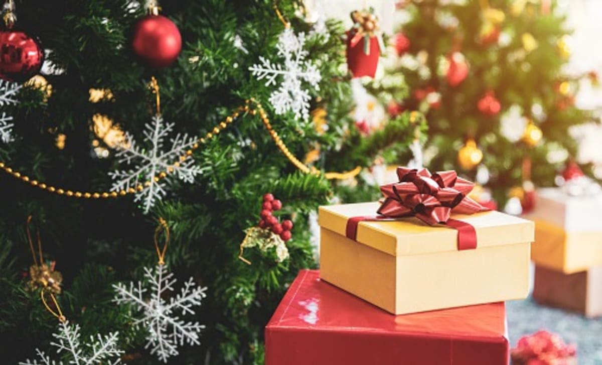 Aby byl dárek pořízený v e-shopu včas pod stromečkem, měli by lidé zboží objednat nejpozději do 14. prosince