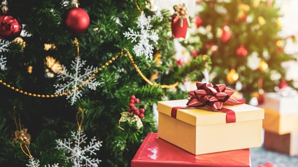 Aby byl dárek pořízený v e-shopu včas pod stromečkem, měli by lidé zboží objednat nejpozději do 14. prosince