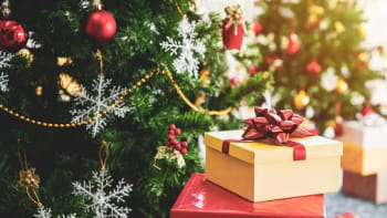 Češi letos za dárky utratí více, i když se polovina výrazně uskromní. Jak nenaletět akcím?