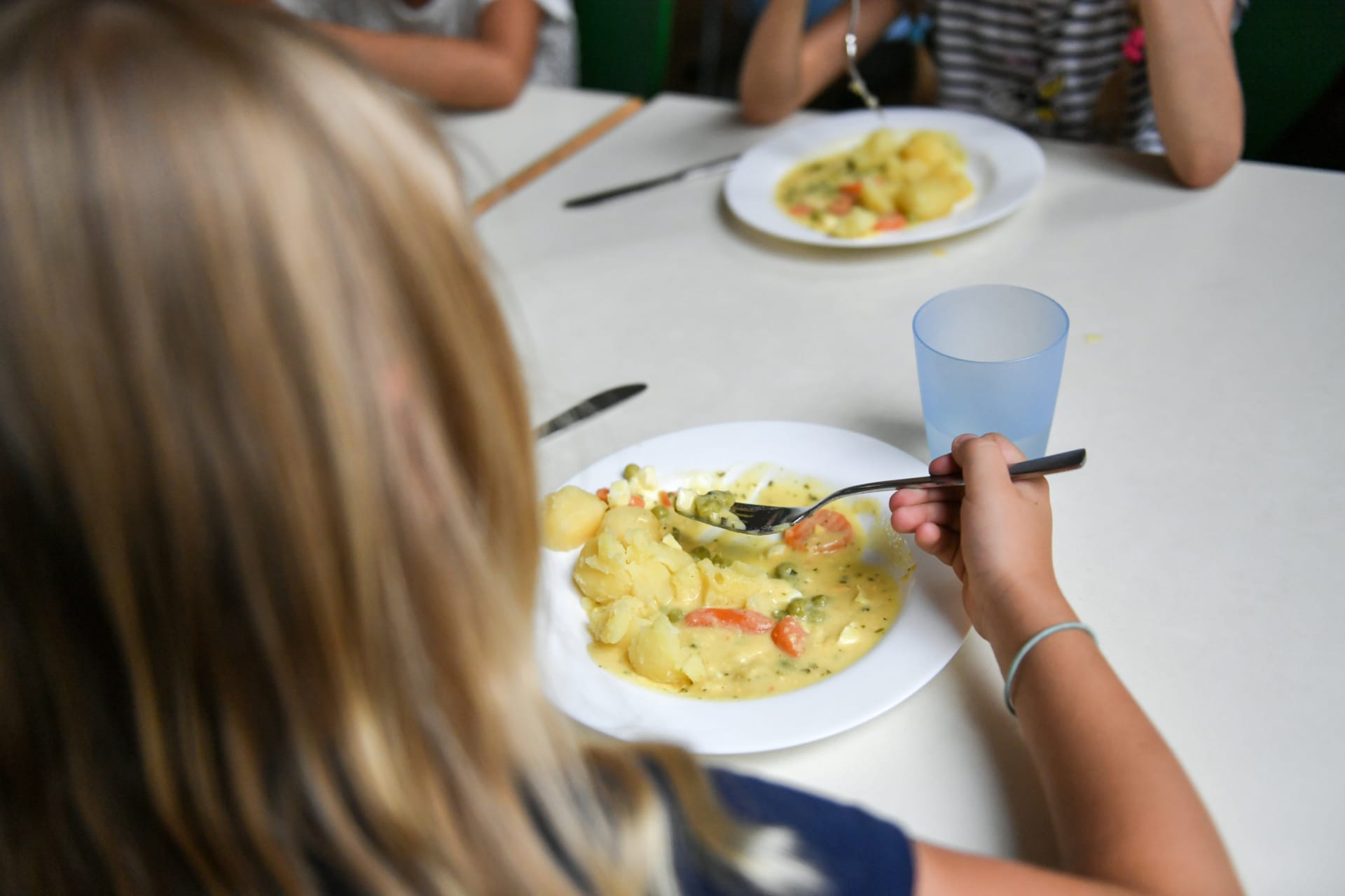 Podle společnosti Scolarest se ve školních jídelnách stravuje téměř 77 procent dětí v Česku. 