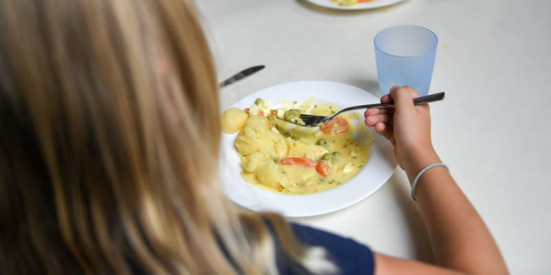 Podle společnosti Scolarest se ve školních jídelnách stravuje téměř 77 procent dětí v Česku. 