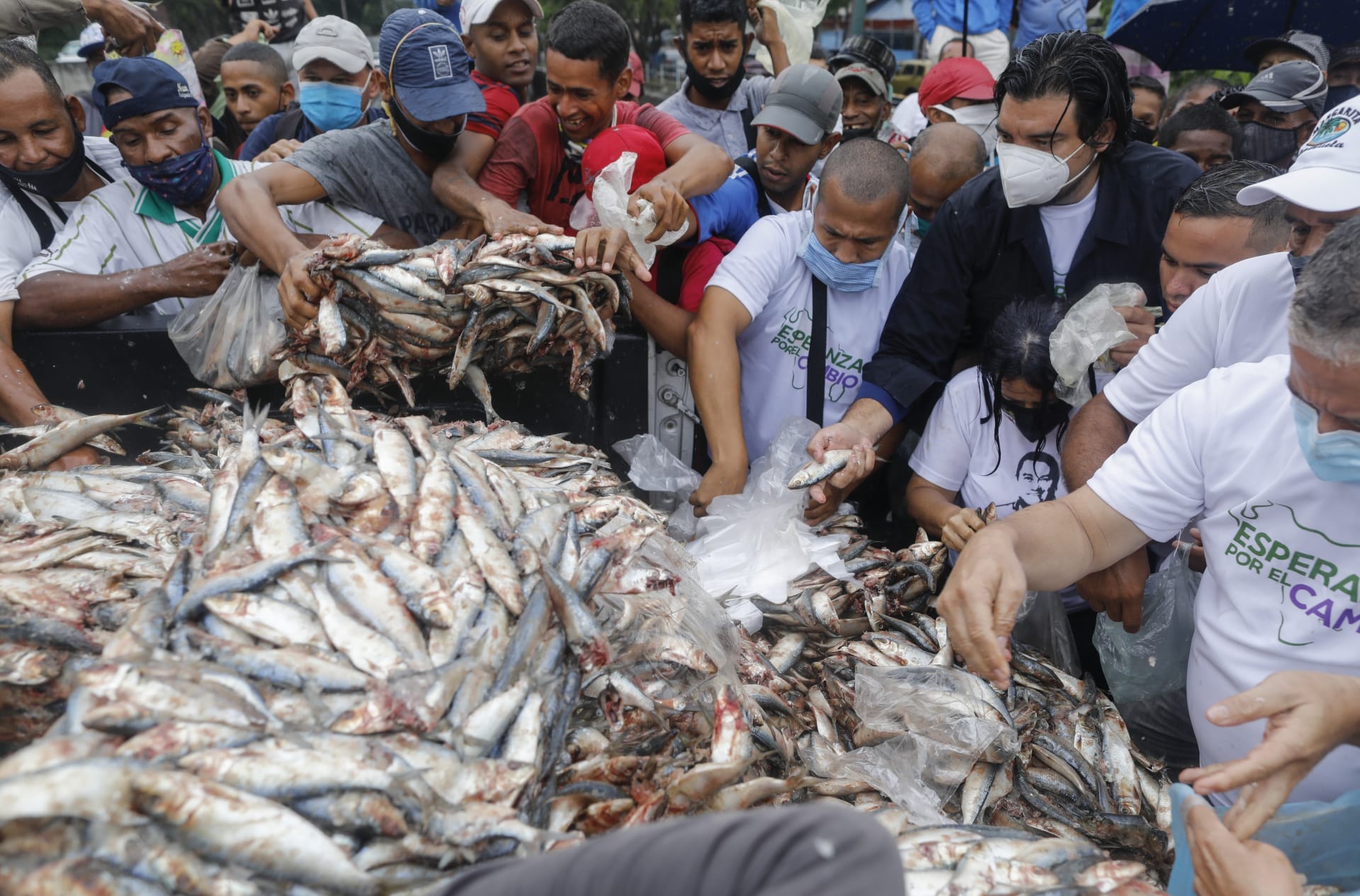 Venezuelané si nabírají ryby, které jim v rámci kampaně před nedělními volbami věnovali zástupci opozice.