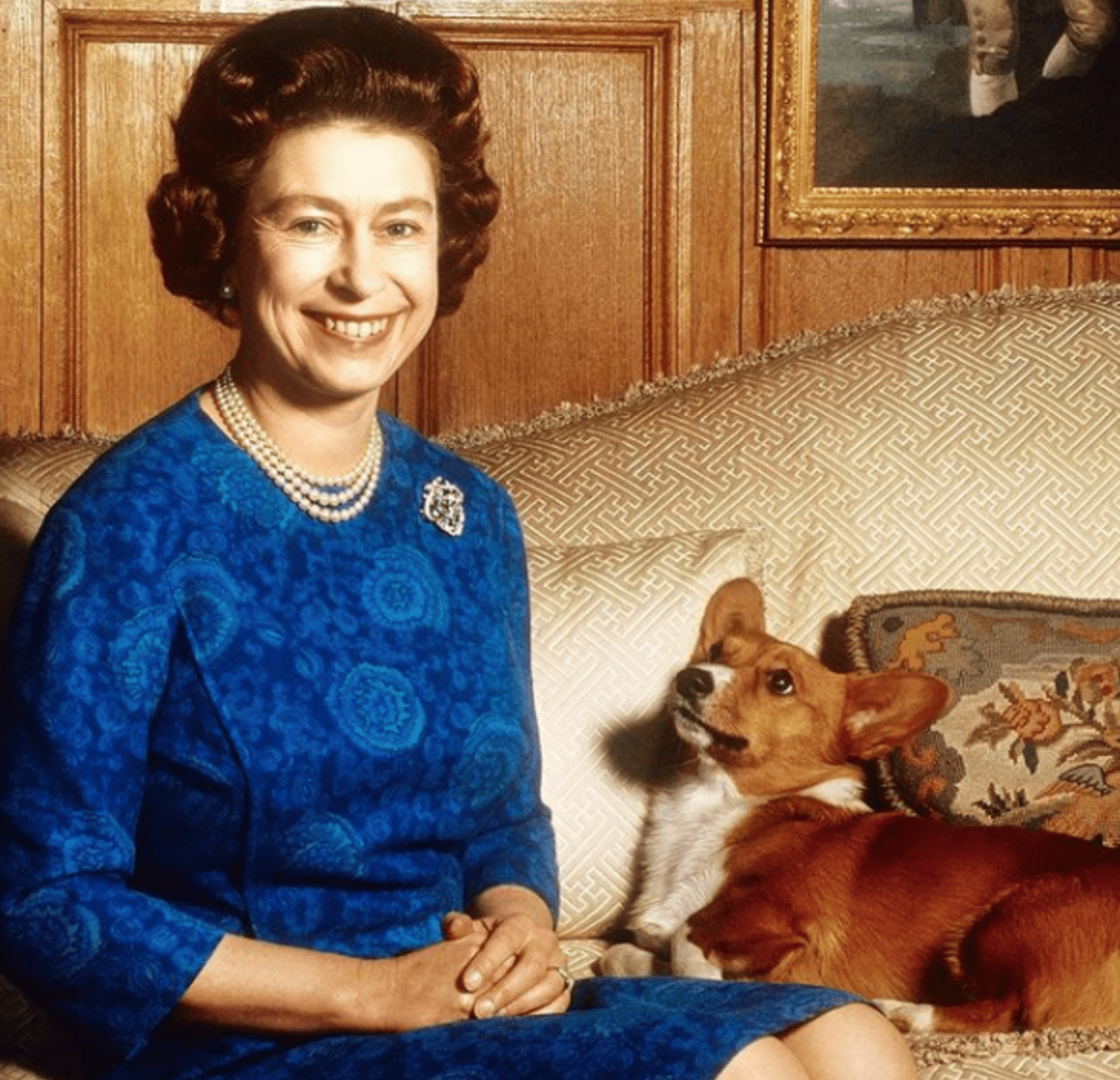 Královna Alžběta II. byla velkou milovnicí zvířat.