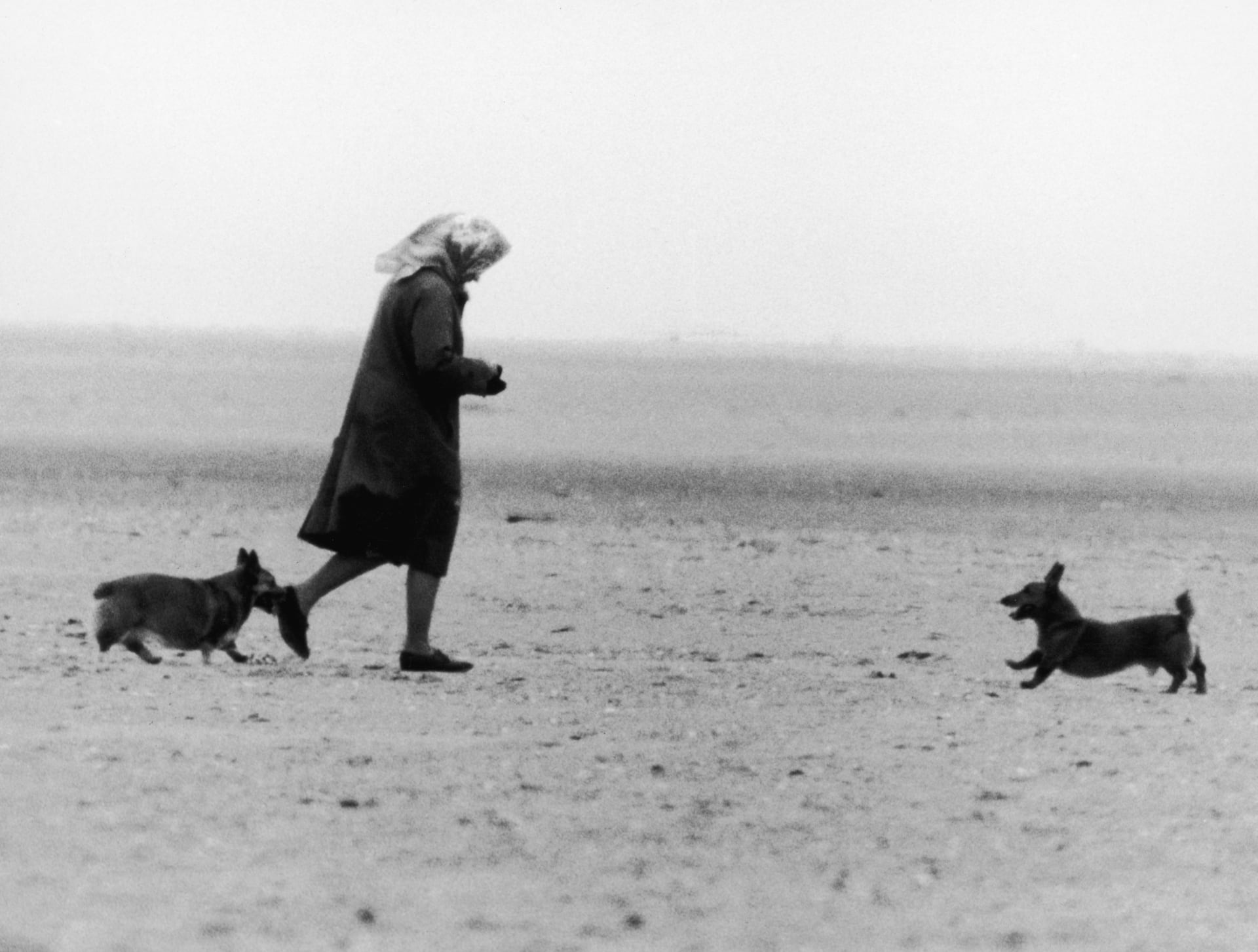 Ráda své psy venčí sama. Fotografie z roku 1984/Getty Images