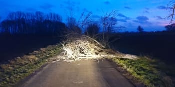 Vítr v Česku zabíjel: Stromy spadly na seniora i hasiče. Tisíce lidí bez proudu
