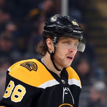 David Pastrňák má za sebou životní sezonu v dresu Bostonu Bruins.