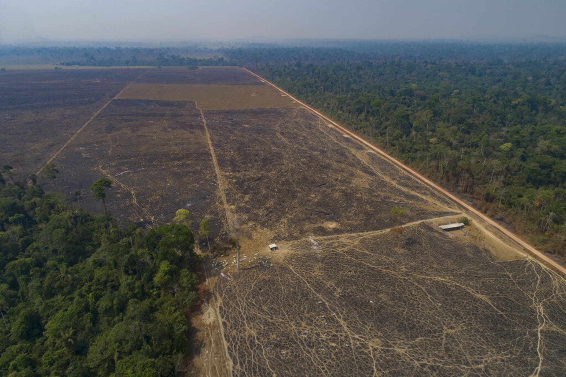 Spálený a posléze odlesněný pruh amazonského pralesa v brazilském státě Pará.