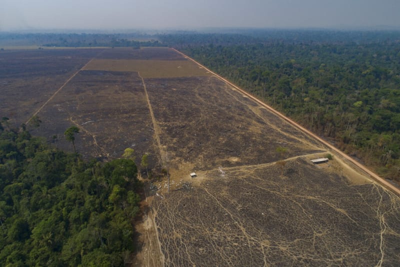 Odlesňování amazonského pralesa