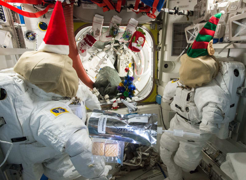 Na Vánoce v roce 2013 posádka Expedice 42 nechala mléko a sušenky pro Santu a pověsila si punčochy nad průchod, který měl symbolizovat komín. 