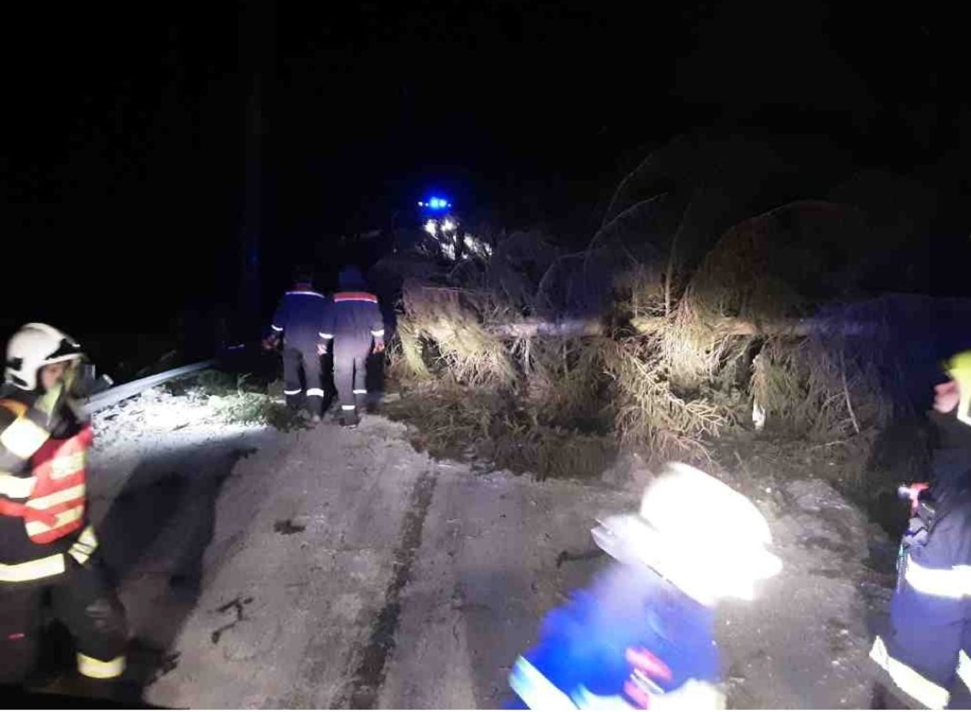 Na Zlatohorsku na osobní vůz spadl strom.