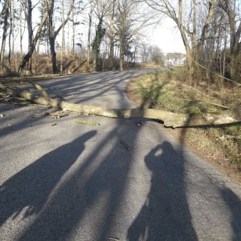 Popadané stromy odstraňovali hasiči především ze silnic na Svitavsku a Chrudimsku. 