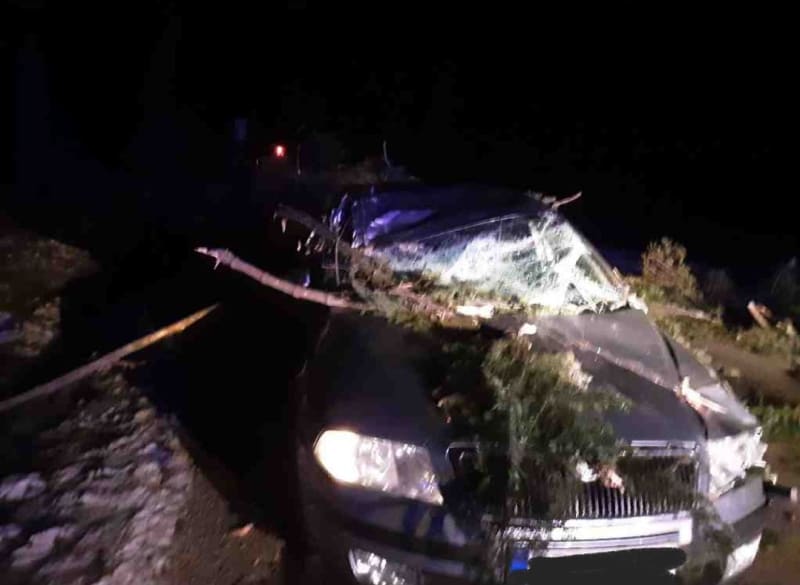 Na Zlatohorsku na osobní vůz spadl strom.