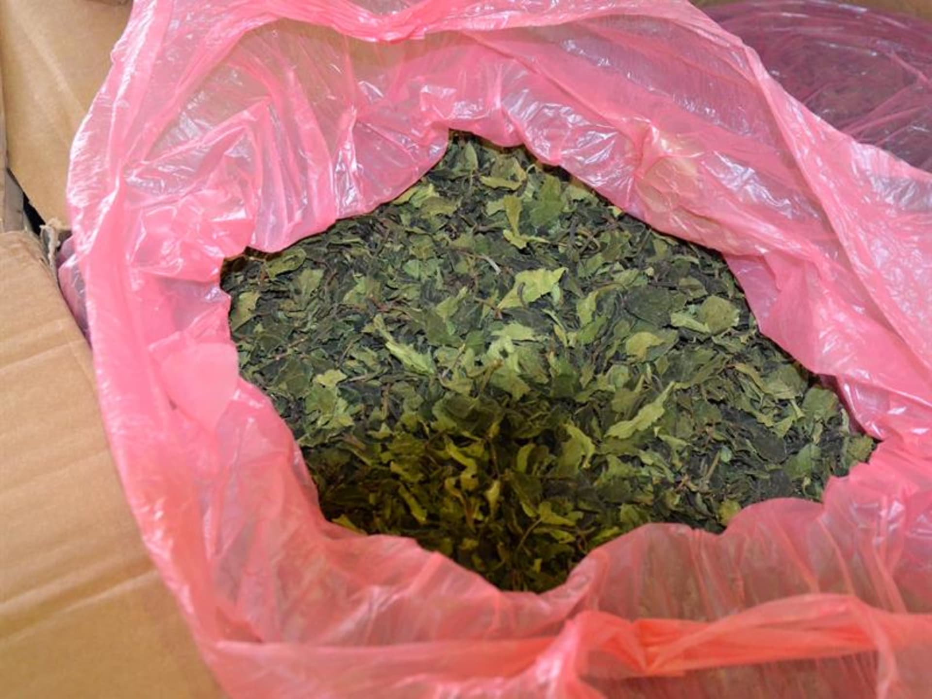 Celníci drogu objevili v cargo zásilce z Dubaje, určena byla jednomu příjemci. 