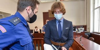 Kauza vraždy kvůli vile v pražské Bubenči: Mladíkům soud uložil 23 a pět let vězení