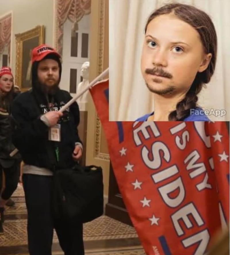 Podle zákulisních informací se dobývání Kapitolu zúčastnila také čerstvě plnoletá Greta Thunbergová (vtip).