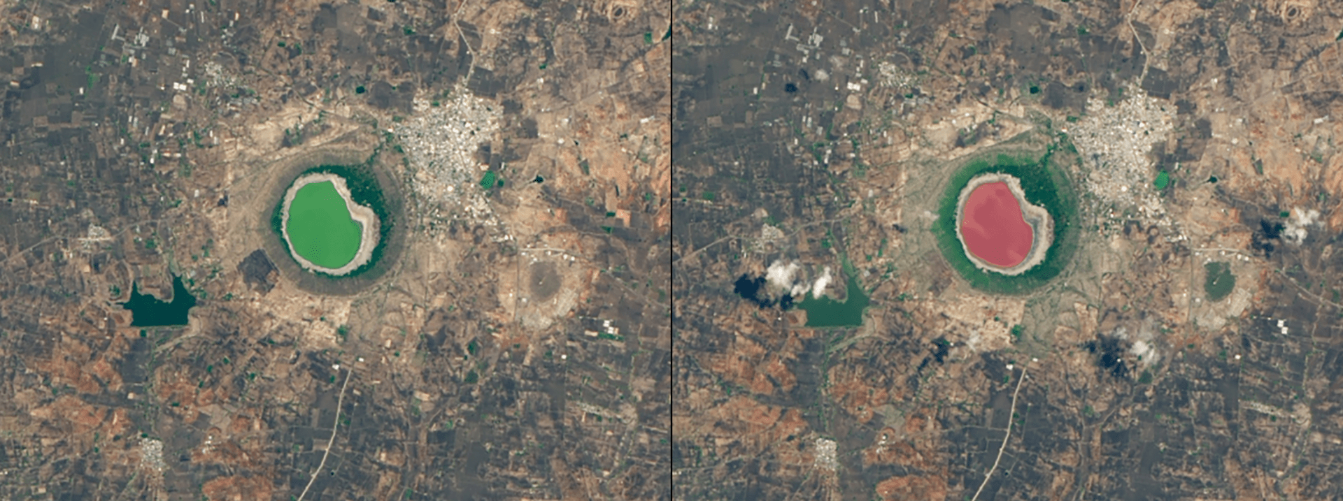 Galerie NASA: Záhadná proměna Lonarského jezera v Indii. Vlevo květen 2020, vpravo červen stejného roku.