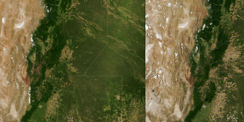 Galerie NASA: Deforestace v argentinském regionu Gran Chaco. Vlevo prosinec 2000, vpravo prosinec 2019.