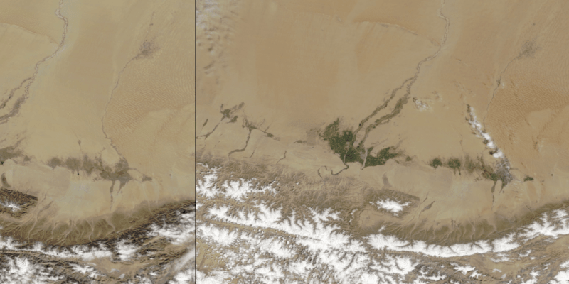 Galerie NASA: Asijskou poušť Taklamakan osvěžila na jaře zeleň. Vlevo únor 2020, vpravo duben 2020.