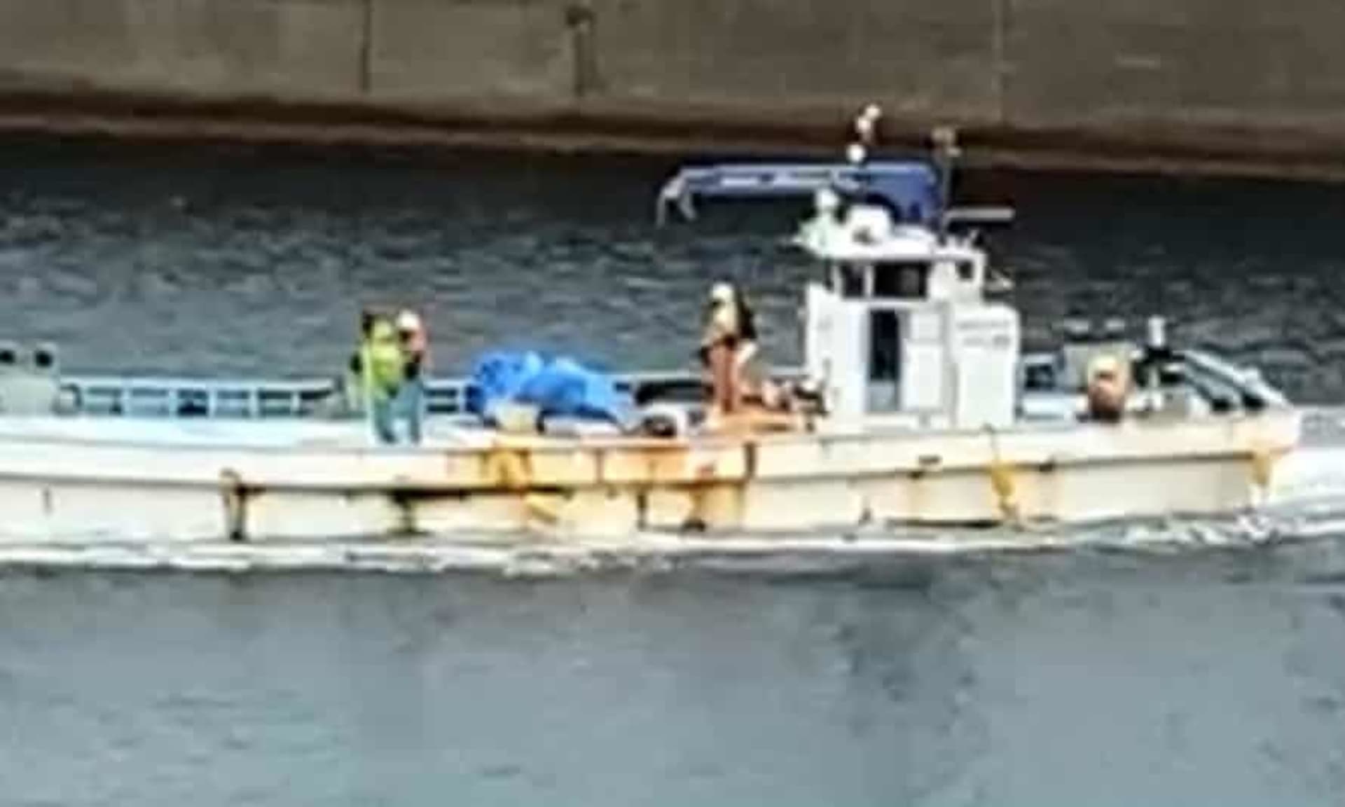 Mrtvé tělo plejtváka rybáři vytáhli na palubu a zabalili do modré plachty. Zdroj: Life Investigation Agency