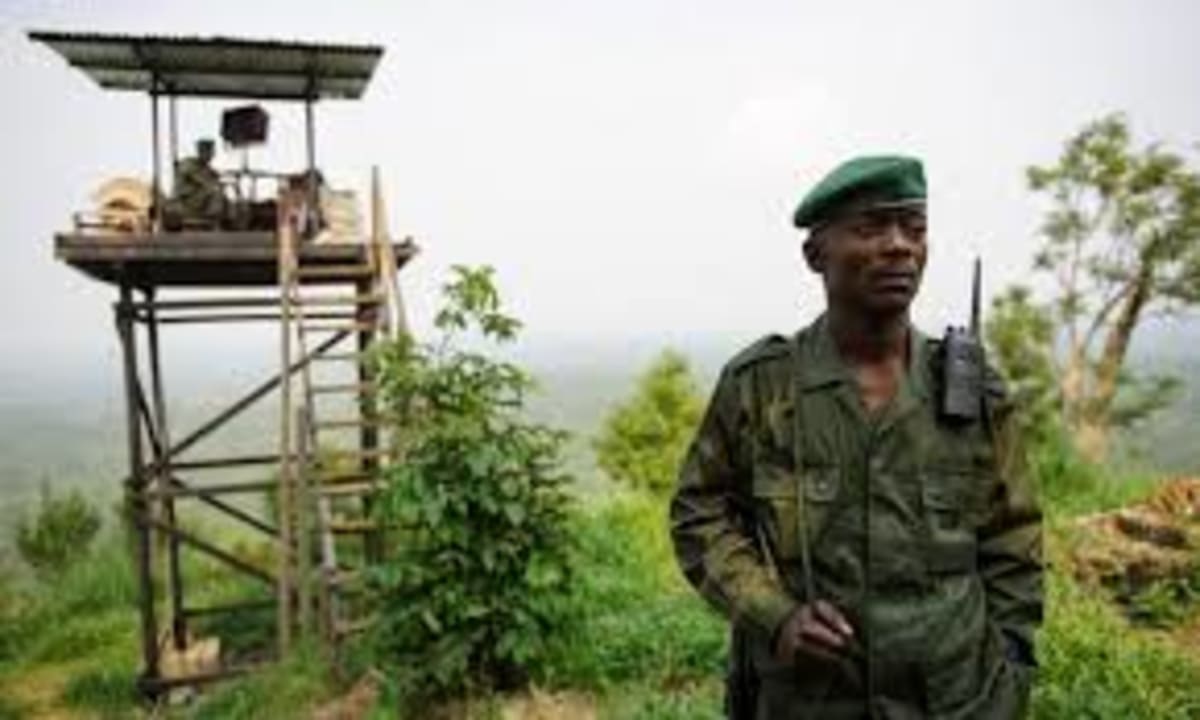 Za posledních deset let přišly o život stovky strážců. Zdroj: Virunga National Park