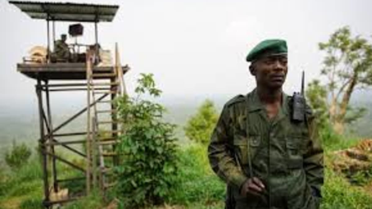 Za posledních deset let přišly o život stovky strážců. Zdroj: Virunga National Park