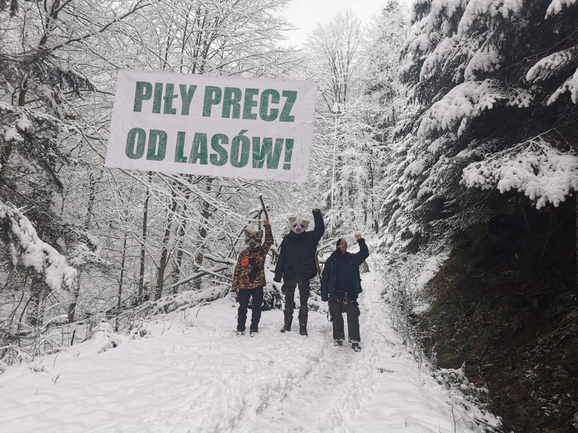Protesty proti těžbě probíhají i v lesích. Zdroj: FB Wilczyce