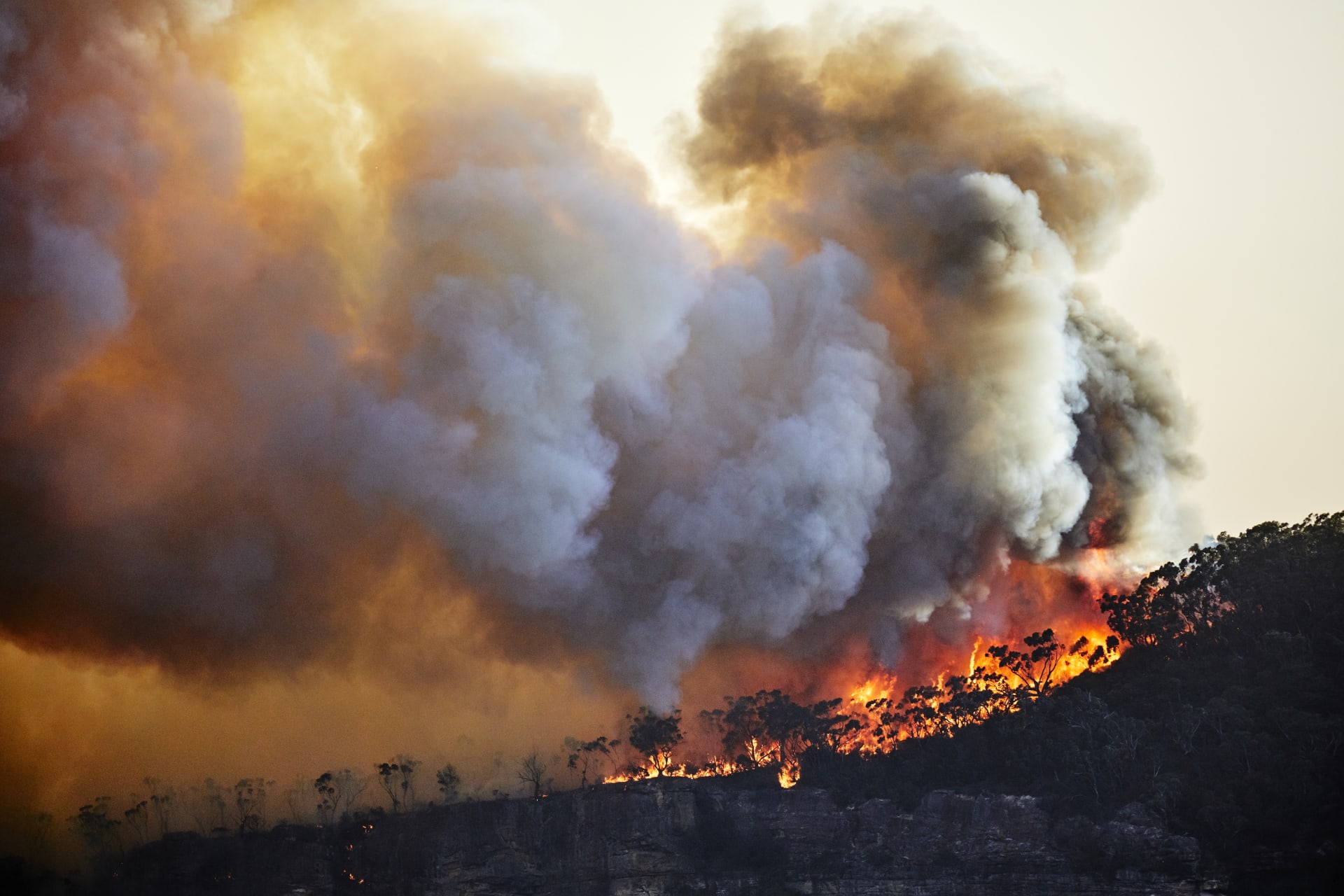 Mezi projevy klimatické změny patří i častější požáry.