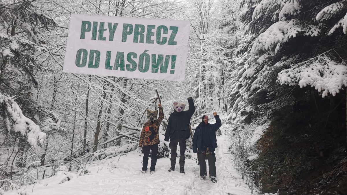 Protesty proti těžbě probíhají i v lesích. Zdroj: FB Wilczyce