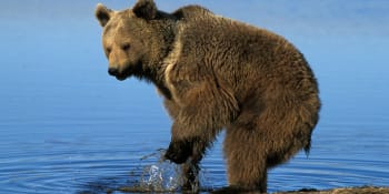 Česká trampka rýžovala zlato na Klondiku. Medvědy grizzly zaháněla husitskými chorály