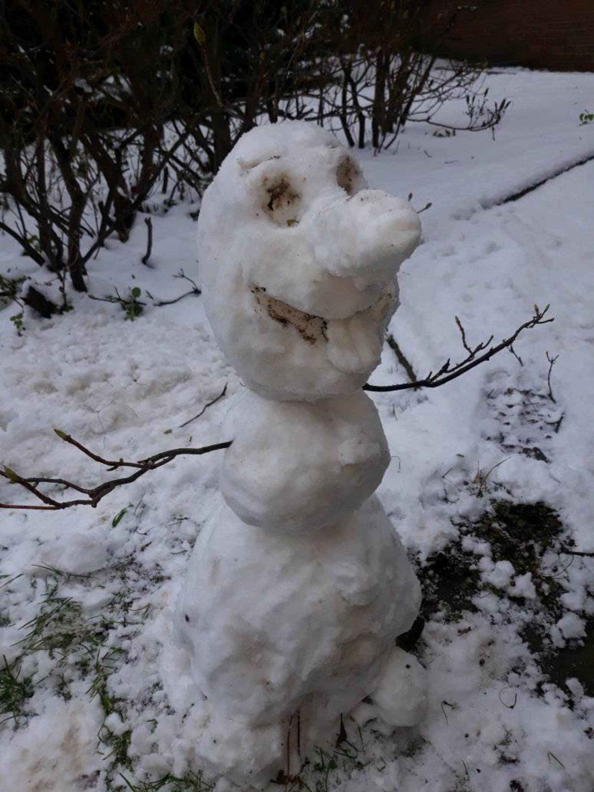 Ahoj, já jsem Olaf. Zdenka Holečková