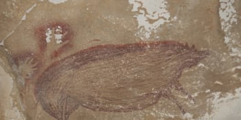 Archeologové objevili nejstarší jeskynní malbu. Umělec ji vytvořil před 45 tisíci lety