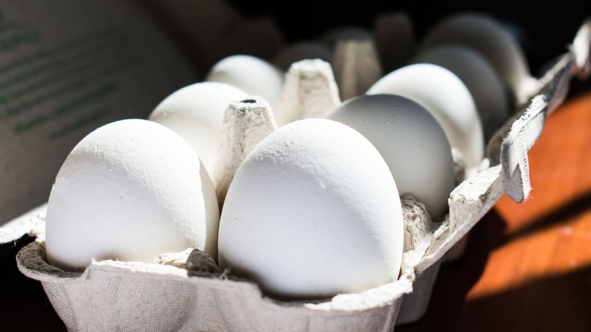 Zemdělci se obávají zvýšených nákladů, které se propíšou do ceny vajec i masa.
