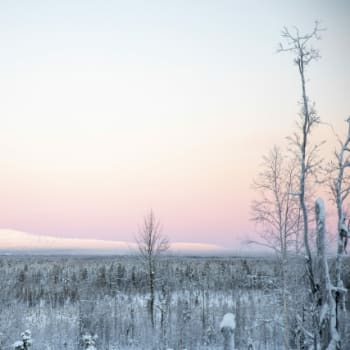 Nejchladněji bylo na Jizerce v Jizerských horách, kde meteorologové naměřili minus 27,8 stupně. (Ilustrační foto)
