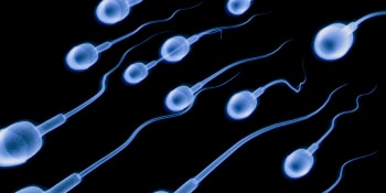 Mužská plodnost v ohrožení. COVID-19 snižuje kvalitu spermií, varují vědci