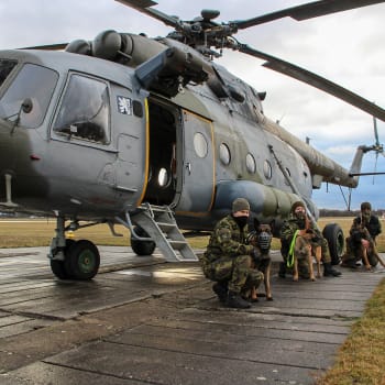 Psi se nesmějí bát střelby ani hluku z letadel nebo vrtulníků, píše Armáda ČR.