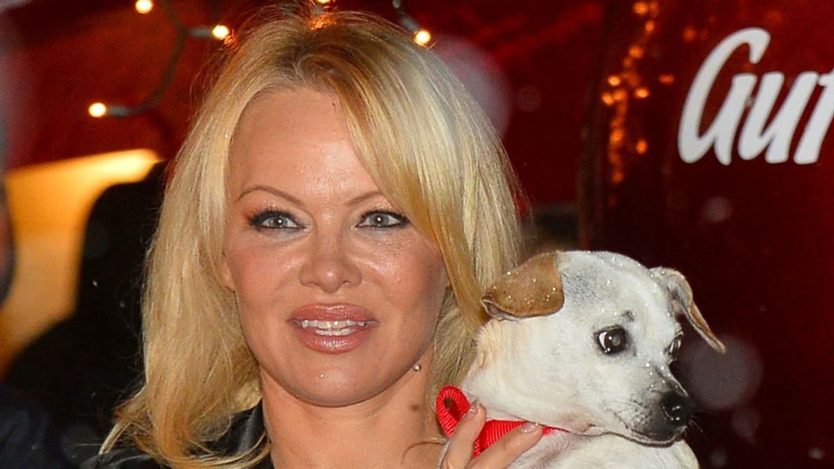 Pamela Anderson je ochránkyní zvířat už více než 25 let