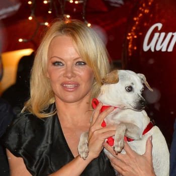 Pamela Anderson je ochránkyní zvířat už více než 25 let