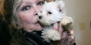 Když má sláva smysl: Brigitte Bardot, nejkrásnější bojovnice za práva zvířat