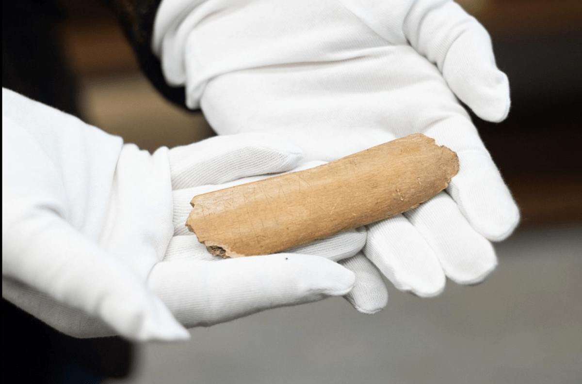 Archeologové objevili runy na kosti tura domácího. 