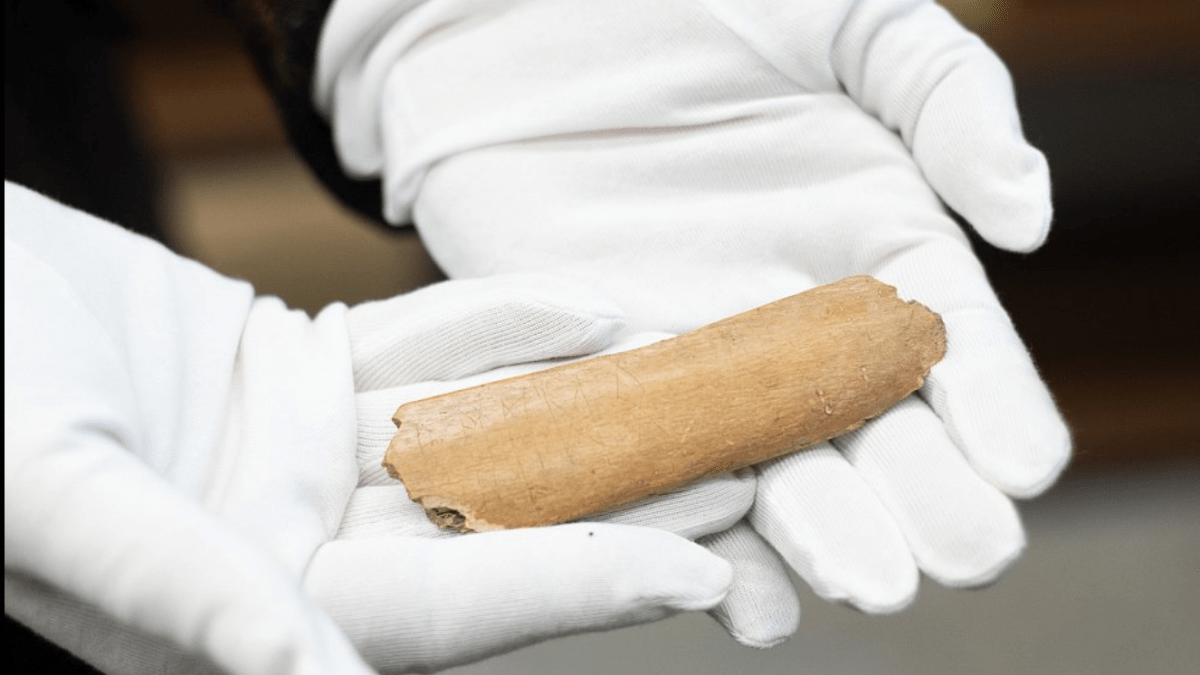 Archeologové objevili runy na kosti tura domácího. 