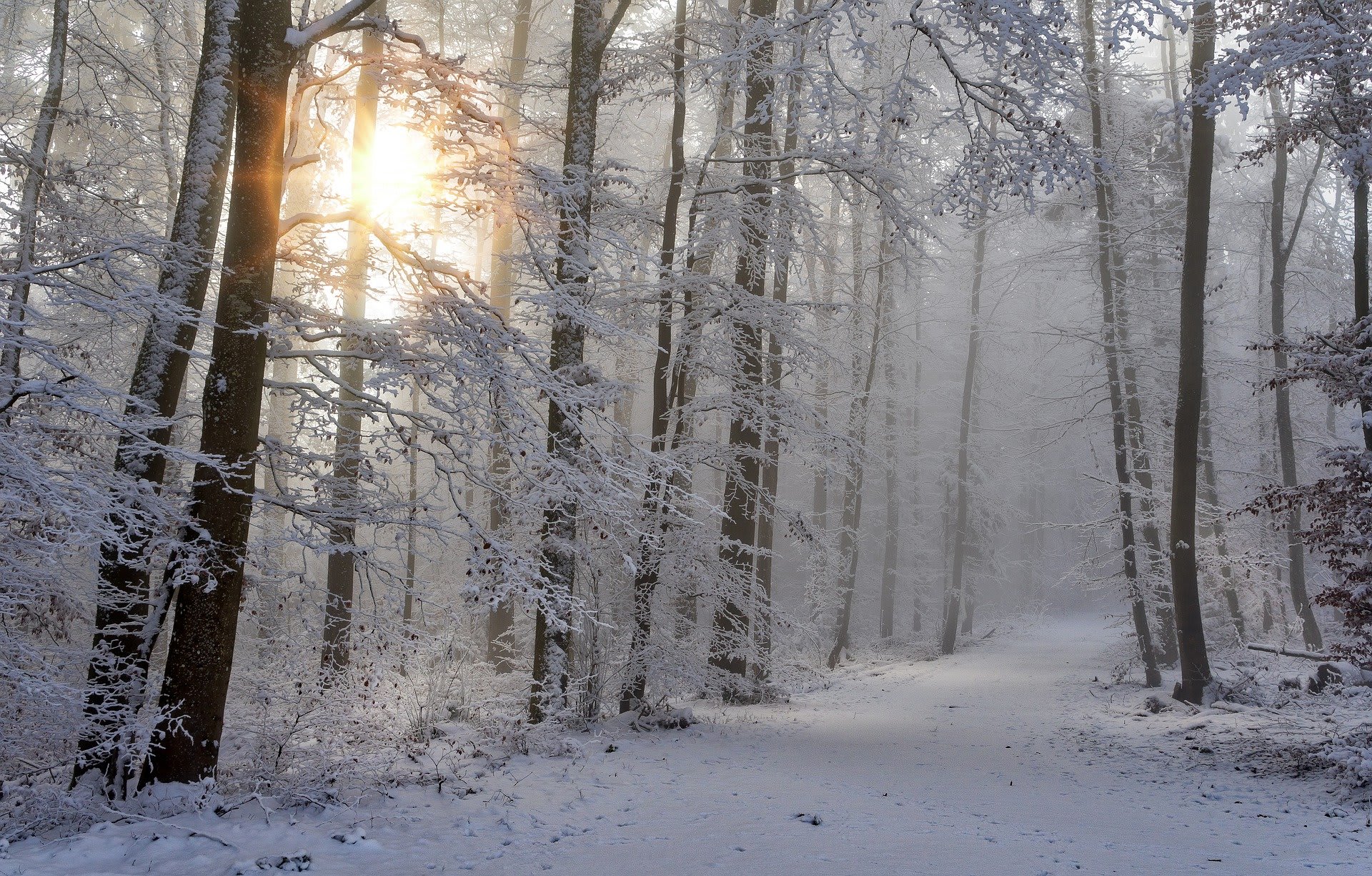 Na mnohých místech teploty v noci klesly až k minus 30 stupňům Celsia. Čechy však v neděli čeká převážně slunečné počasí. (Zdroj: Pixabay)
