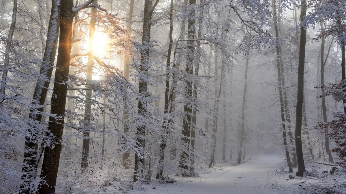 Na mnohých místech teploty v noci klesly až k minus 30 stupňům Celsia. Čechy však v neděli čeká převážně slunečné počasí. (Zdroj: Pixabay)