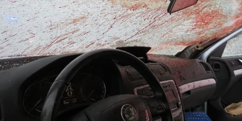 Následky střetů autobusů a osobních aut s pobíhajícími koňmi na Trutnovsku