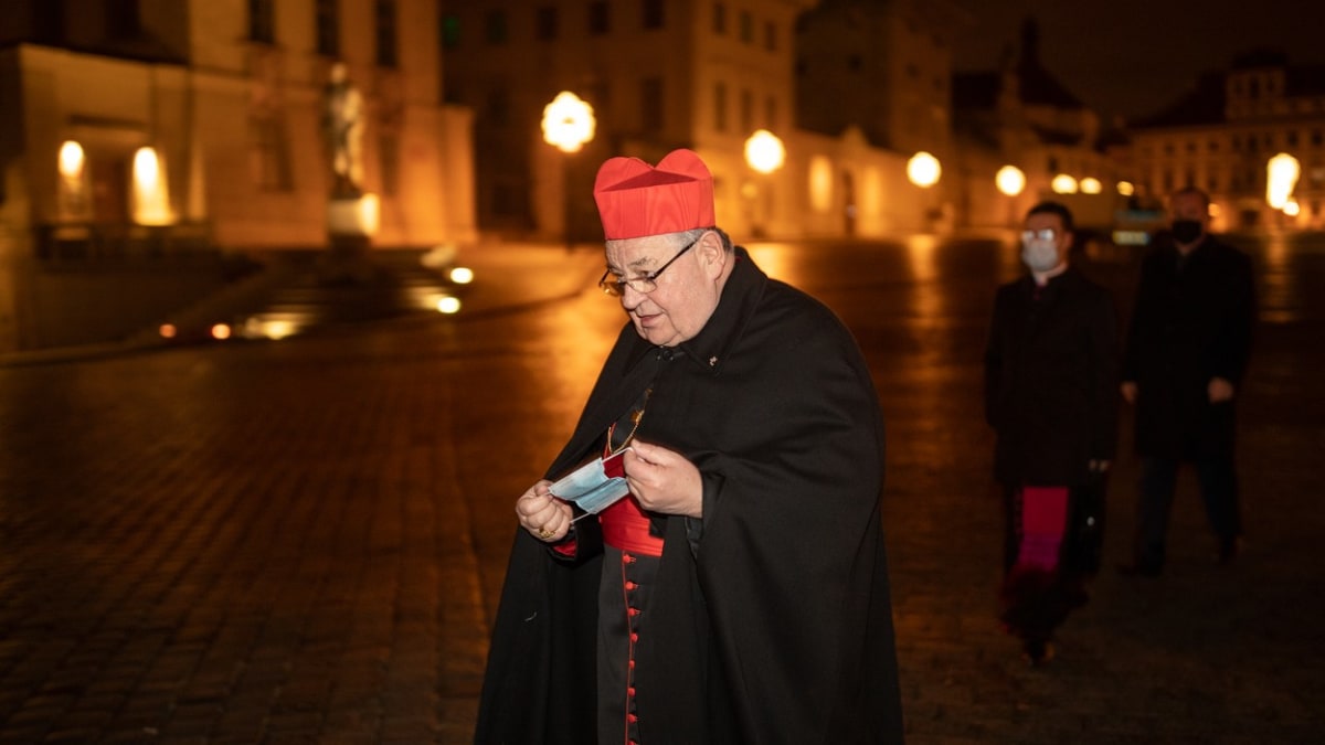 Podle imunologa Václava Hořejšího vypustil kardinál Duka lživé informace už poněkolikáté. 