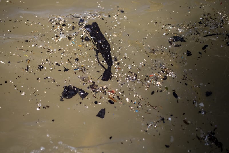 Na tamních plážích našli řadu mrtvých zvířat, od želv, ryb až po sedmnáctimetrového plejtváka. 